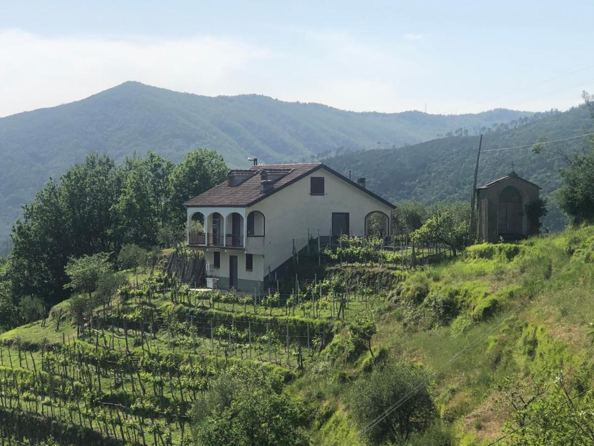 Villa Elena Mezzanego Exterior photo