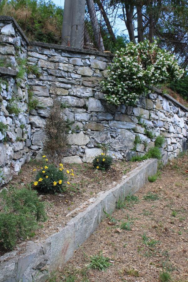 Villa Elena Mezzanego Exterior photo